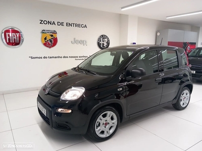 Usados Fiat Panda