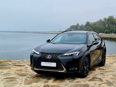 Usados Lexus UX 250h