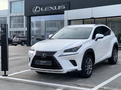 Lexus NX 300h Executive+ por 41 800 € AMG Car | Setúbal