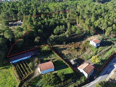 Quinta T3 em Vila Real de 7500,00 m²