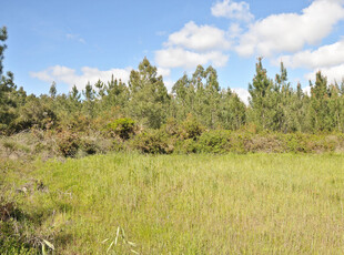Terreno Rústico, com 14640 m2, localizado na freguesia do Maxial