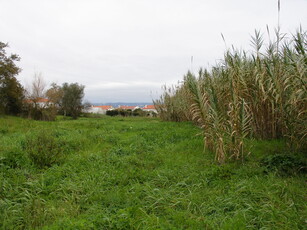 Terreno rústico com possibilidade de construção em Bizorreiro de Lavos, Figueira da Foz