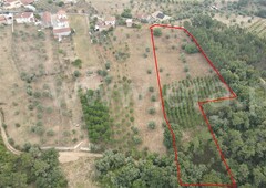Terreno para Construção / Ourém, Gondemaria e Olival