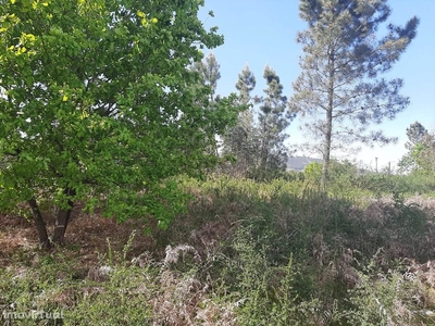 Terreno para alugar em Penafiel, Portugal