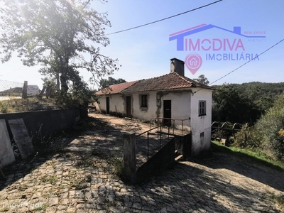 Moradia T1 com terreno e mina de água em Figueiró dos Vinhos