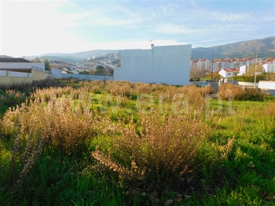 Lote / Covilhã, Covilhã