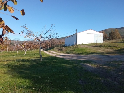 Quinta Agrícola à venda em Linhares