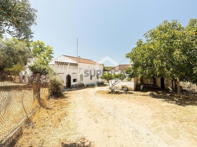 Quinta Rural T3 à venda em Arraiolos