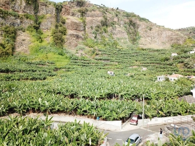 Terreno em Madeira de 3990,00 m²