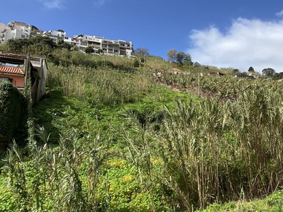 Terreno em Madeira de 5090,00 m²