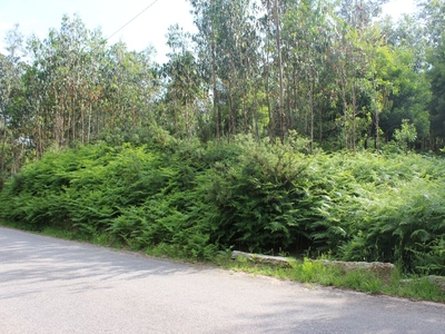 Terreno para comprar em Viana do Castelo, Mazedo e Cortes, Portugal