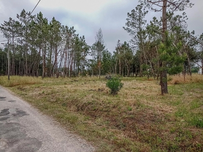 Terreno rústico com 1240 m2, localizado na Cova da Serpe, Quiaios - Figueira da Foz