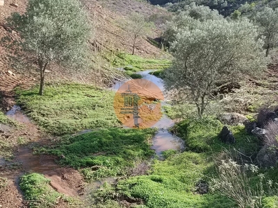 Terreno rústico com 24.320 m2 - possibilidade de construir um armazém - corujos - azinhal - castro marim - algarve