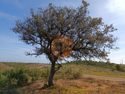 Terreno rústico com 2.720 m2 - próximo das alcarias grandes - castro marim - algarve