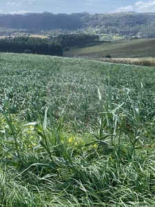 Terreno à venda em Encarnação, Mafra