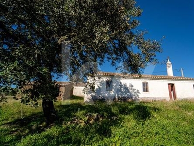 Amazing Property in Alentejo for tourism or agricultural investment!