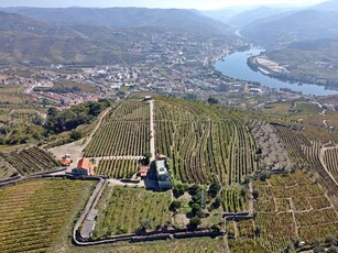 Quinta do Rochão: uma magnífica propriedade vinícola versátil no coração do Douro, património da UNESCO