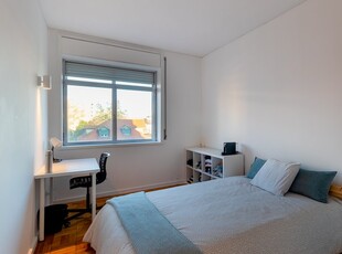 Aluga-se quarto em apartamento de 8 quartos na Boavista, Porto