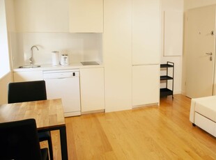 Apartamento estúdio para alugar no Porto, Porto