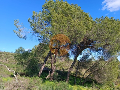 Terreno rustico com 21.720 m2 - próximo a aldeia do azinhal - piçarral - castro marim - algarve