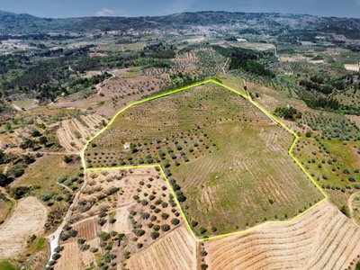 Terreno com 75230 m2 em Sendim - Tabuaço | Viseu