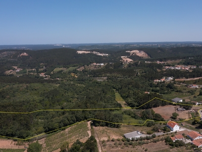 Terreno / Quinta agrícola com aproximadamente 33.000 m2, Maiorga, Alcobaça