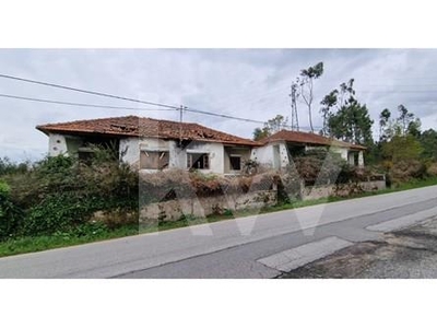 Propriedade em São Martinho da Gândara, Oliveira de Azeméis - Oportunidade de Investimento