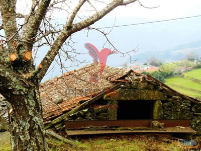 Casa de Pedra p/reconstruir e terreno a 8 kms de Vila Real