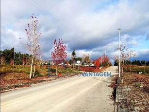 terreno à venda Valongo do Vouga, Águeda