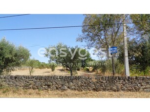 Terreno Rústico na entrada da aldeia São Miguel de Acha