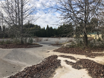 Terreno com uma área de 15 000 m2 em Águeda.