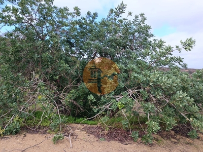 Terreno rústico com 3.800 m2 - próximo as alcarias grandes - castro marim - algarve