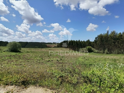 Terreno agrícola com 18,368 m2, situado na localidade de Barreiras - Vale Covo- Bombarral.,