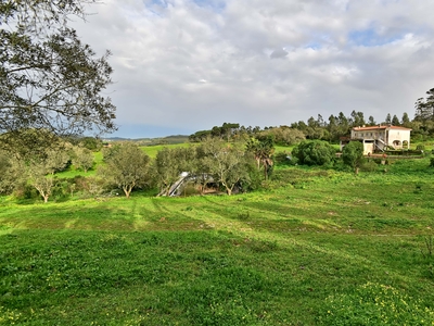 Quinta do Paraíso, na Baratã, Sintra, com 9,8 hectares. A16 a 8 minutos