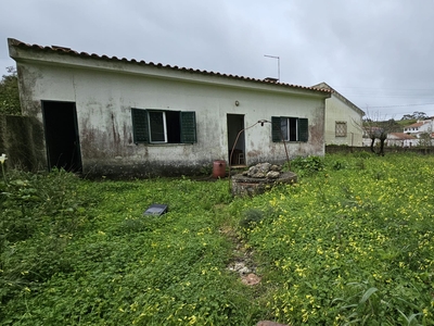 Terreno em Dona Maria, Sintra: Vida Rural Próxima à Cidade