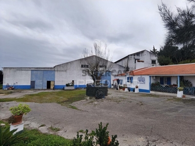 Quinta Rural T3 à venda em Cartaxo e Vale da Pinta
