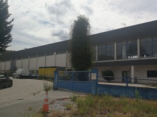 Loja / Estabelecimento Comercial em Chão de Couce de 2 622 m²