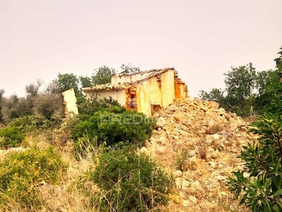 Excelente Terreno Misto 13.600 m2 com Ruina em Pêra / Silves