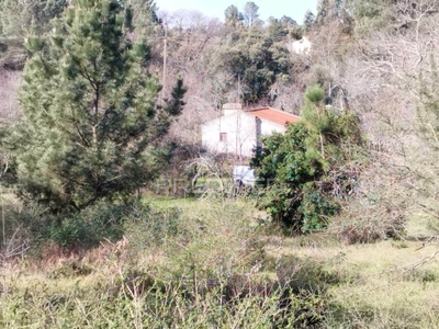 Quinta na Serra de S. Mamede - Portalegre,