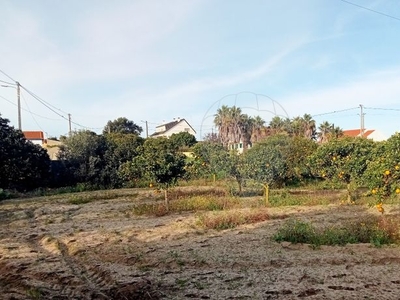 Terreno à venda em Ereira e Lapa, Cartaxo