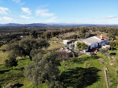 Quinta com 4,9 hectares e casa para comprar em Pedrógão de São Pedro, Portugal