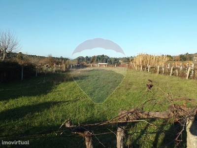 Terreno para comprar em Moreira, Portugal