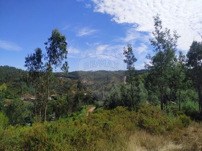 Terreno à venda em Figueiró dos Vinhos e Bairradas, Figueiró dos Vinhos