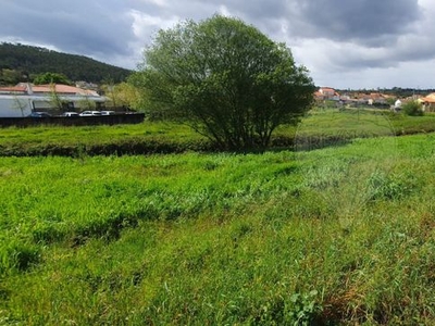 Terreno à venda em Guia, Ilha e Mata Mourisca, Pombal