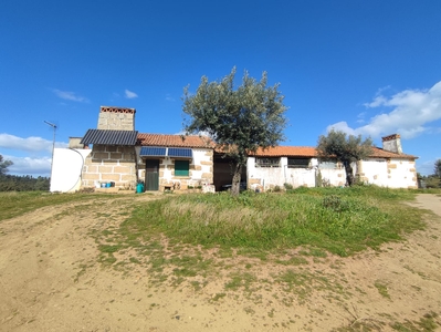 Quinta 54ha, Escalos de Baixo, Castelo Branco