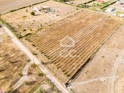 Dois lotes de terreno com 9750 m2 | Campo Maior