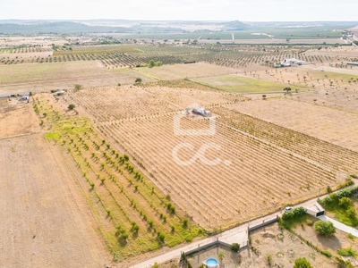 Lote de terreno com 4750 m2 | Campo Maior