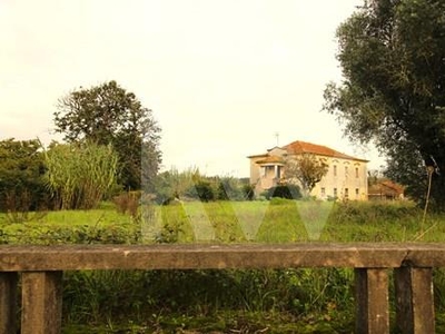 Mini Farm with House to Restore in Paleão, Soure, Coimbra - Next to the Chapel of São Mateus