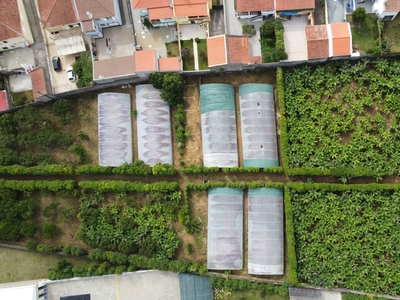 Terreno Misto com 8680m², com uma Casa Tipologia T2, Vários Anexos e Algumas Estufas de Plástico de Produção de Horticultura.