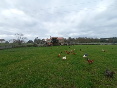 Casa Rústica T5+2 à venda em Matança